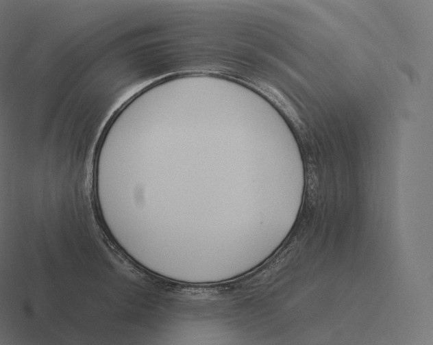 X0000116311044200912291447