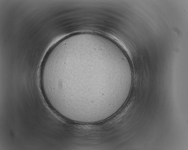 X0000116311045200912291447