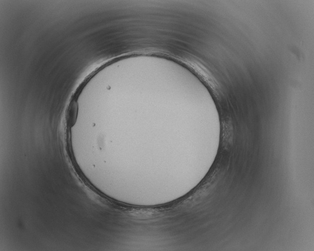 X0000116311046200912291447