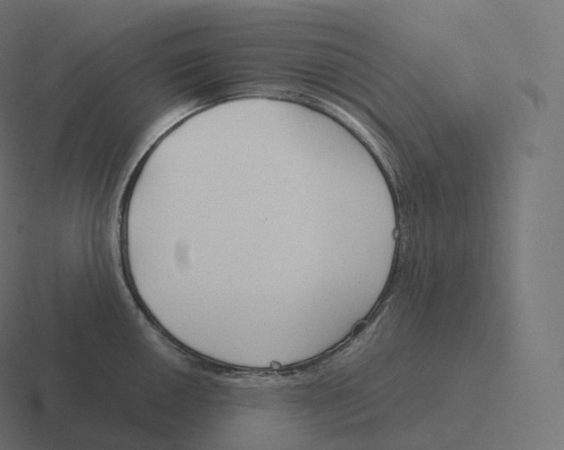 X0000116311050200912291447