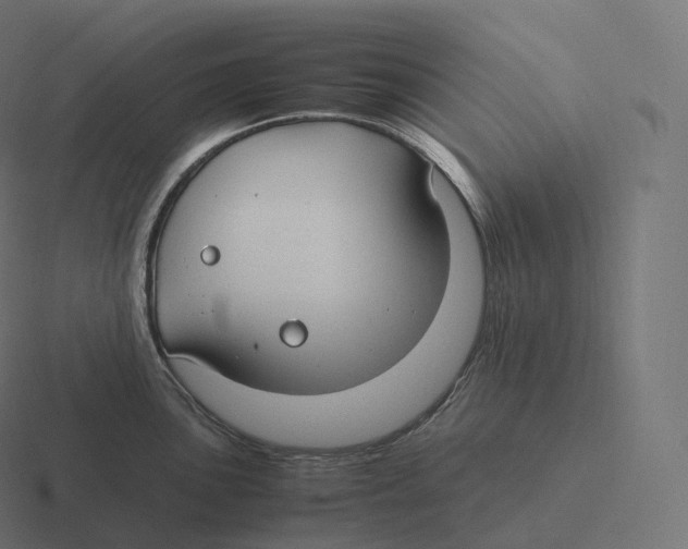 X0000116311051200912291447