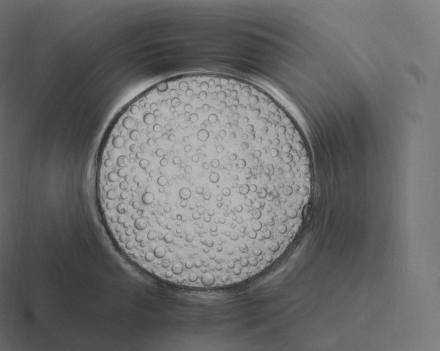 X0000116311053200912291447