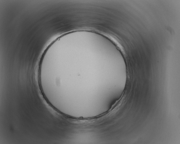 X0000116311054200912291447