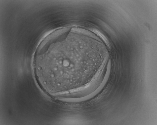 X0000116311055200912291447