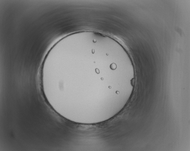 X0000116311056200912291447