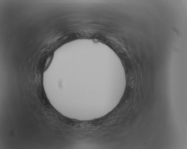 X0000116311061200912291447