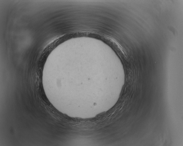 X0000116311064200912291447