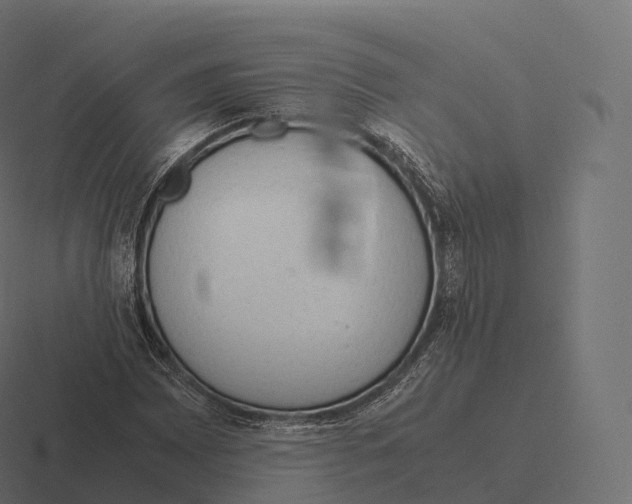 X0000116311065200912291447