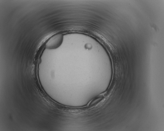 X0000116311066200912291447