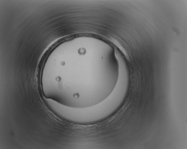 X0000116311068200912291447