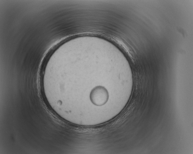 X0000116311072200912291446