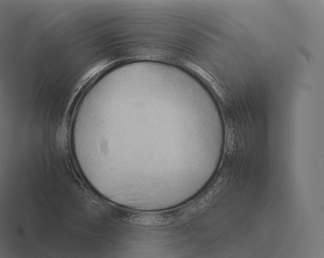 X0000116311074200912291446