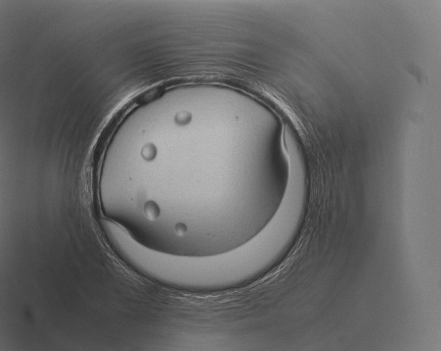 X0000116311075200912291446