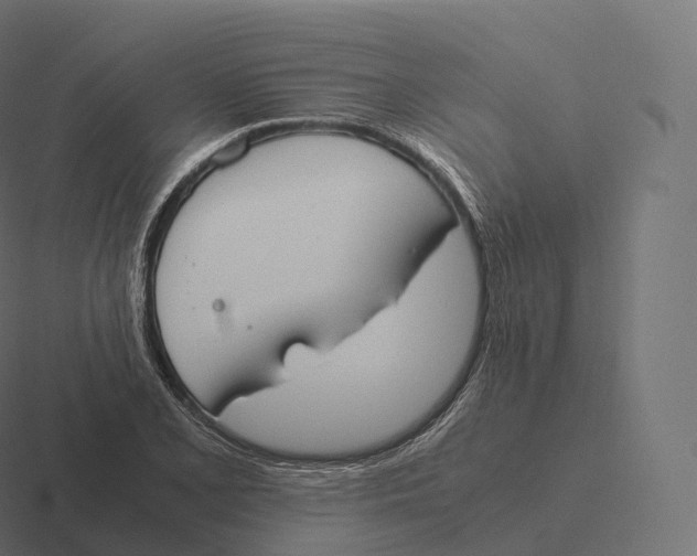 X0000116311077200912291446