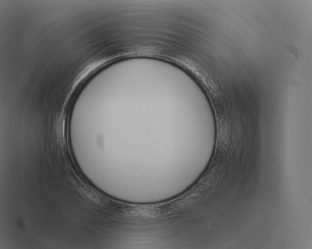 X0000116311078200912291446