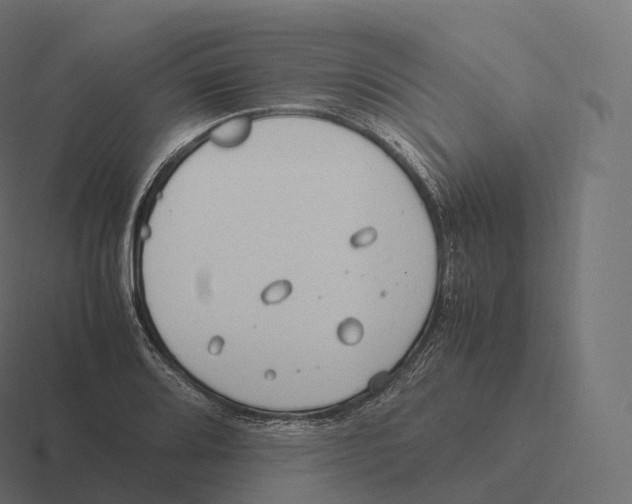 X0000116311080200912291446