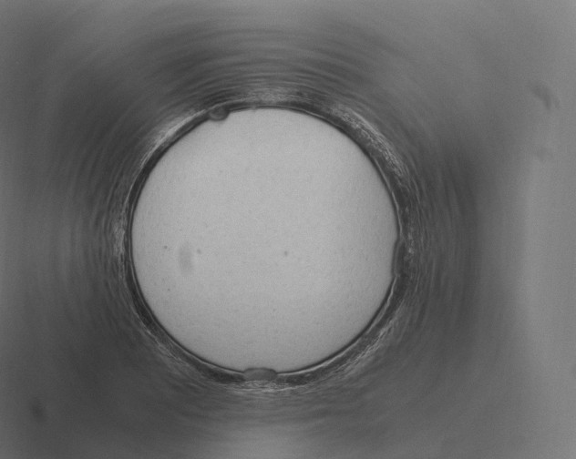 X0000116311081200912291446