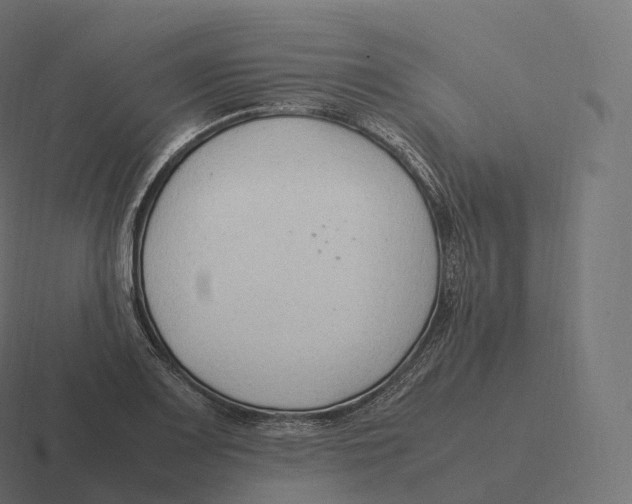 X0000116311083200912291446