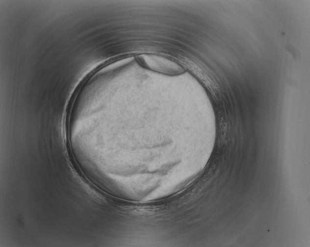 X0000116311084200912291446