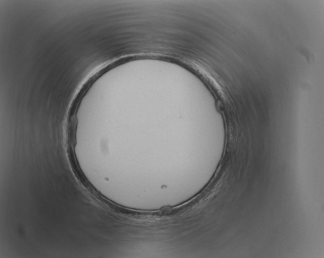 X0000116311085200912291446