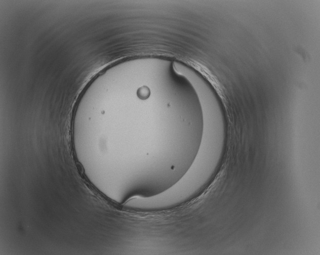 X0000116311089200912291446