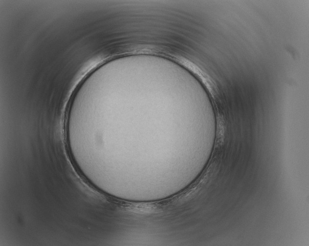 X0000116311090200912291446