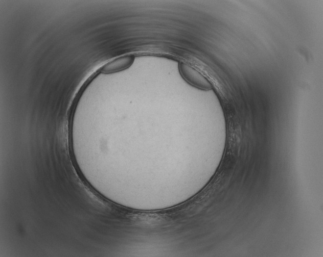 X0000116311092200912291446