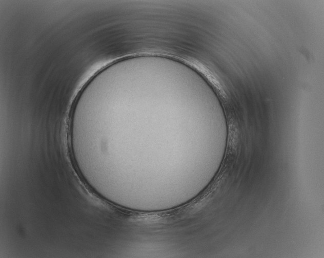 X0000116311094200912291446