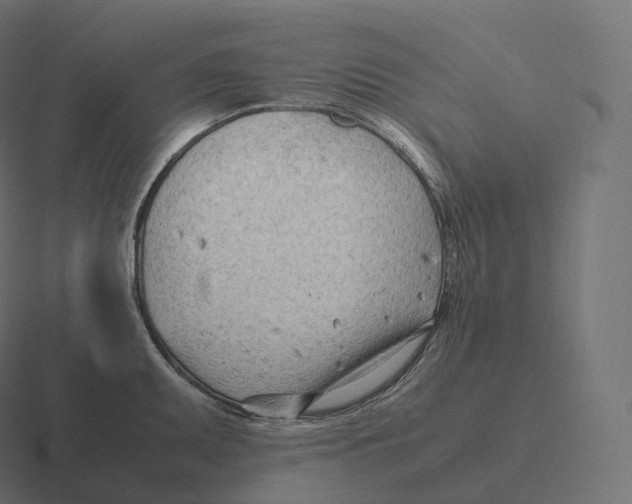 X0000116311095200912291446