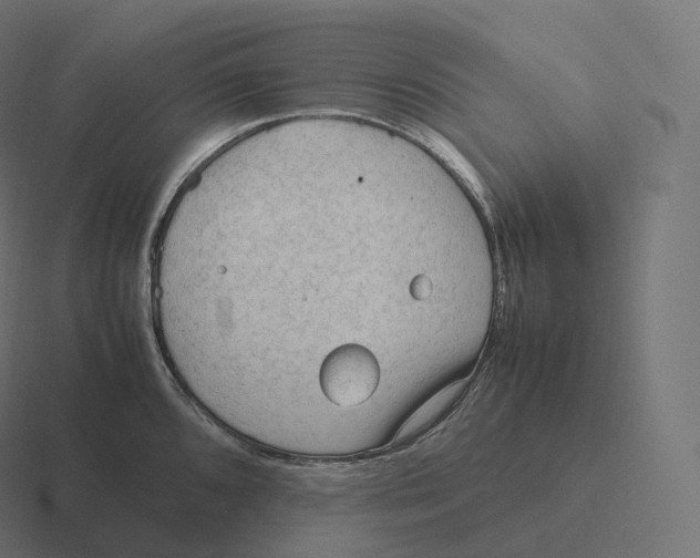 X0000116311096200912291446