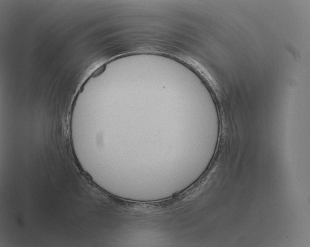 X0000116311097200912291446