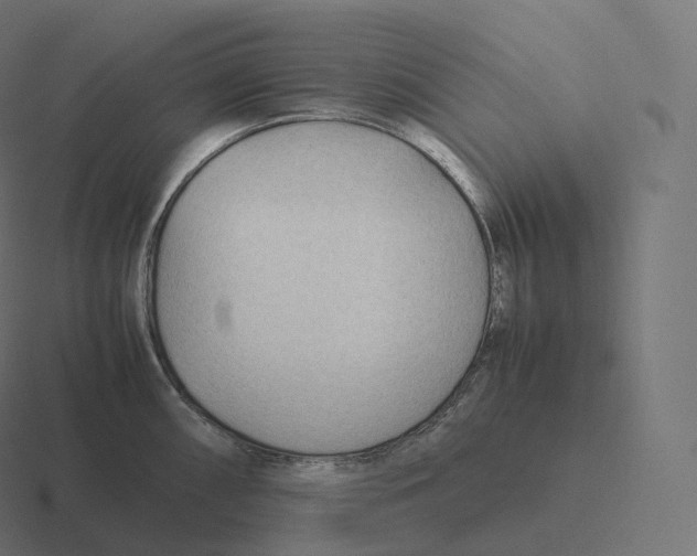 X0000116311098200912291446