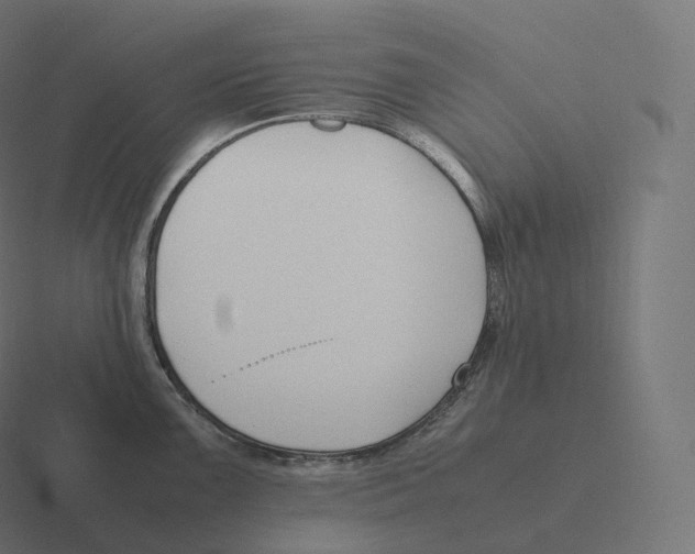 X0000116311099200912291446