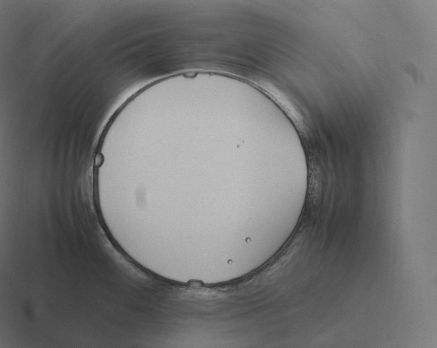 X0000116311100200912291446