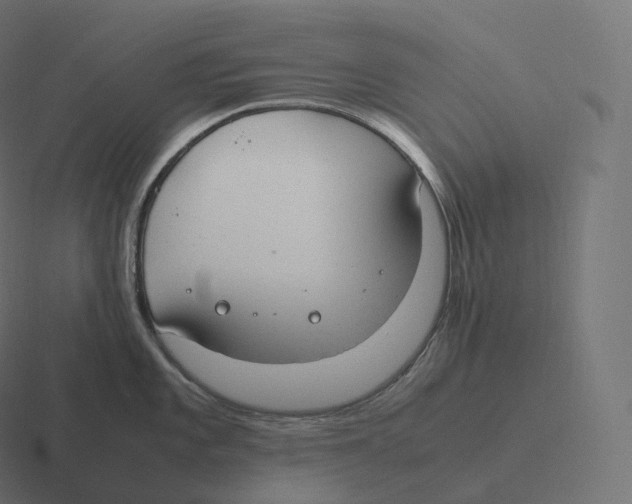 X0000116311101200912291446