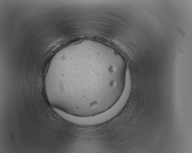 X0000116311110200912291446