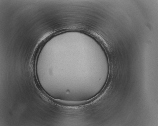 X0000116311114200912291446