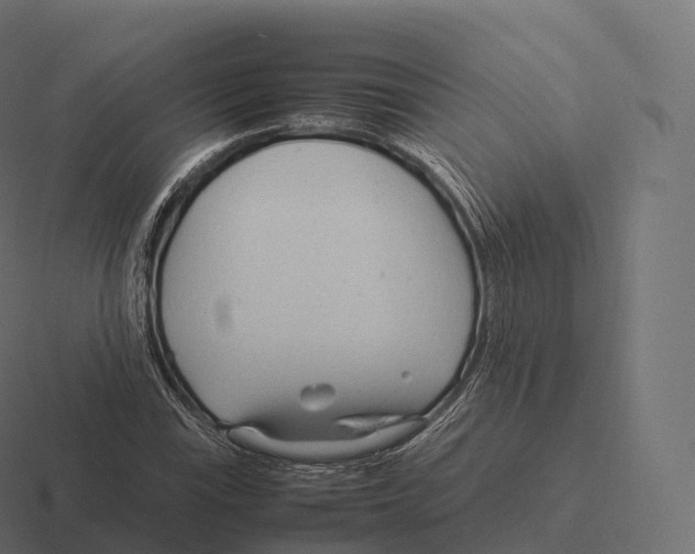 X0000116311115200912291446