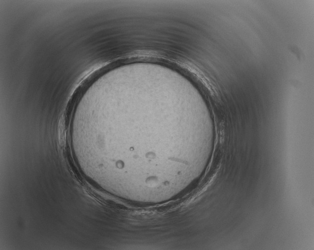 X0000116311117200912291446