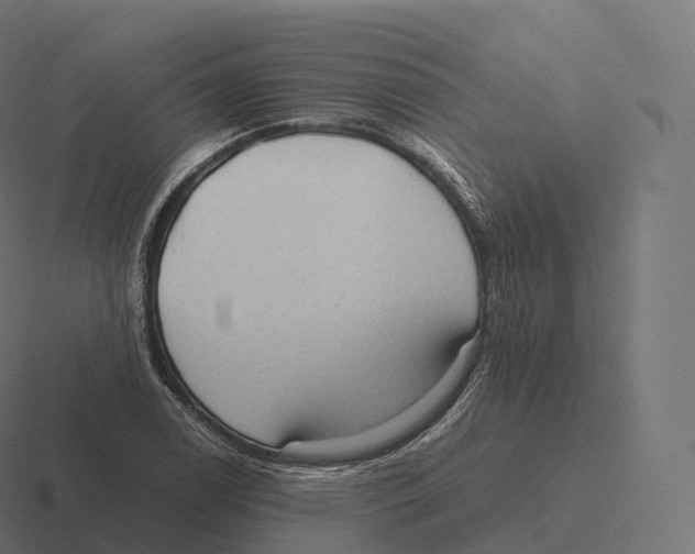 X0000116311122200912291446