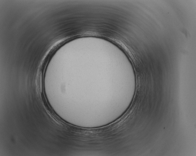 X0000116311123200912291446