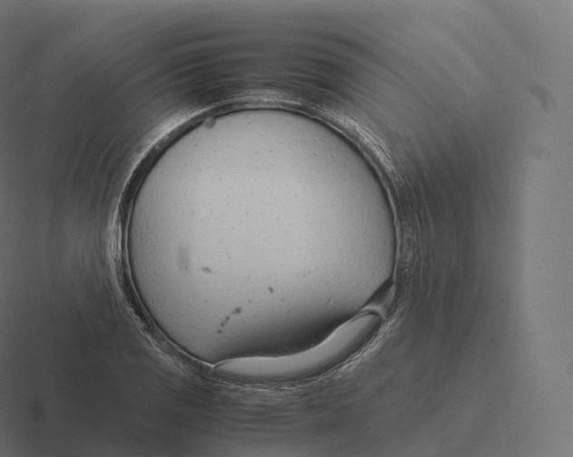 X0000116311125200912291446