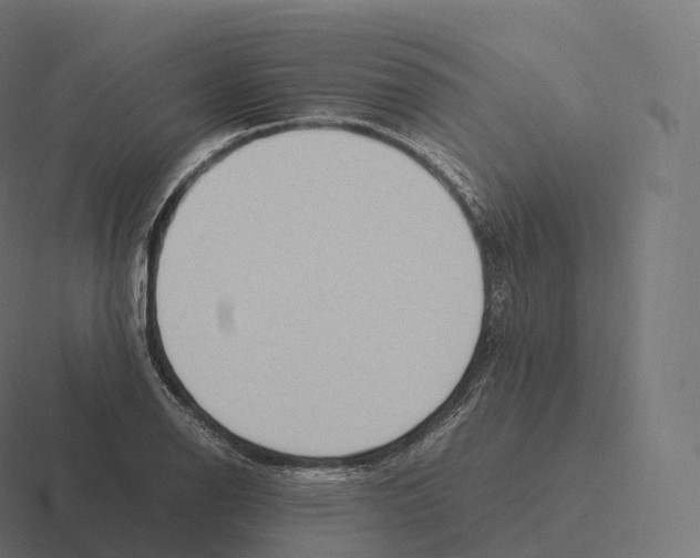 X0000116311126200912291446