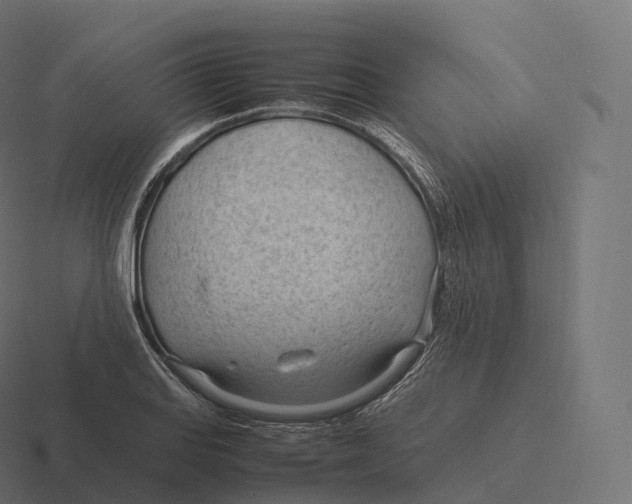 X0000116311127200912291446