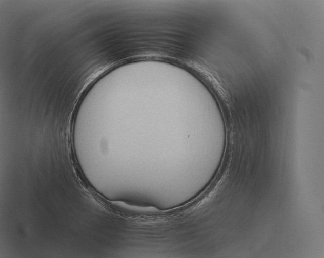 X0000116311129200912291446