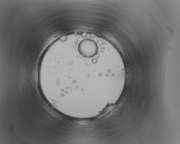 X0000116311130200912291446