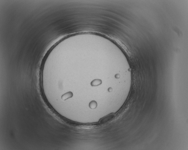 X0000116311134200912291446