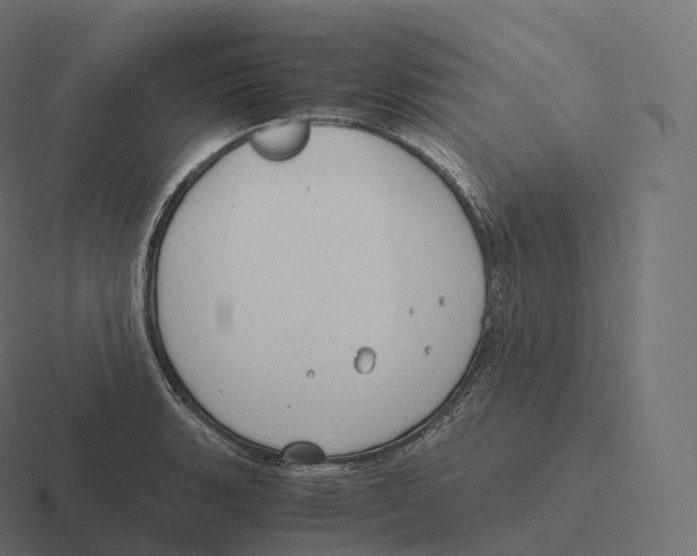 X0000116311135200912291446