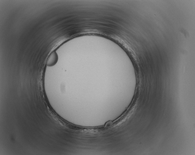 X0000116311137200912291446