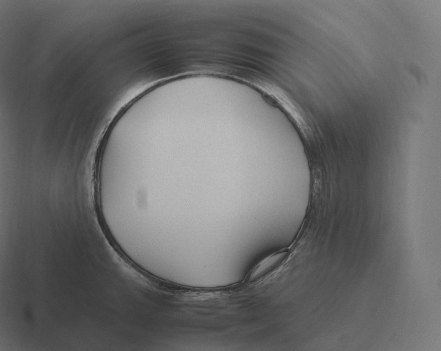 X0000116311143200912291446